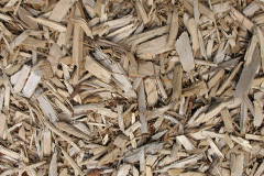 biomass boilers Duntish